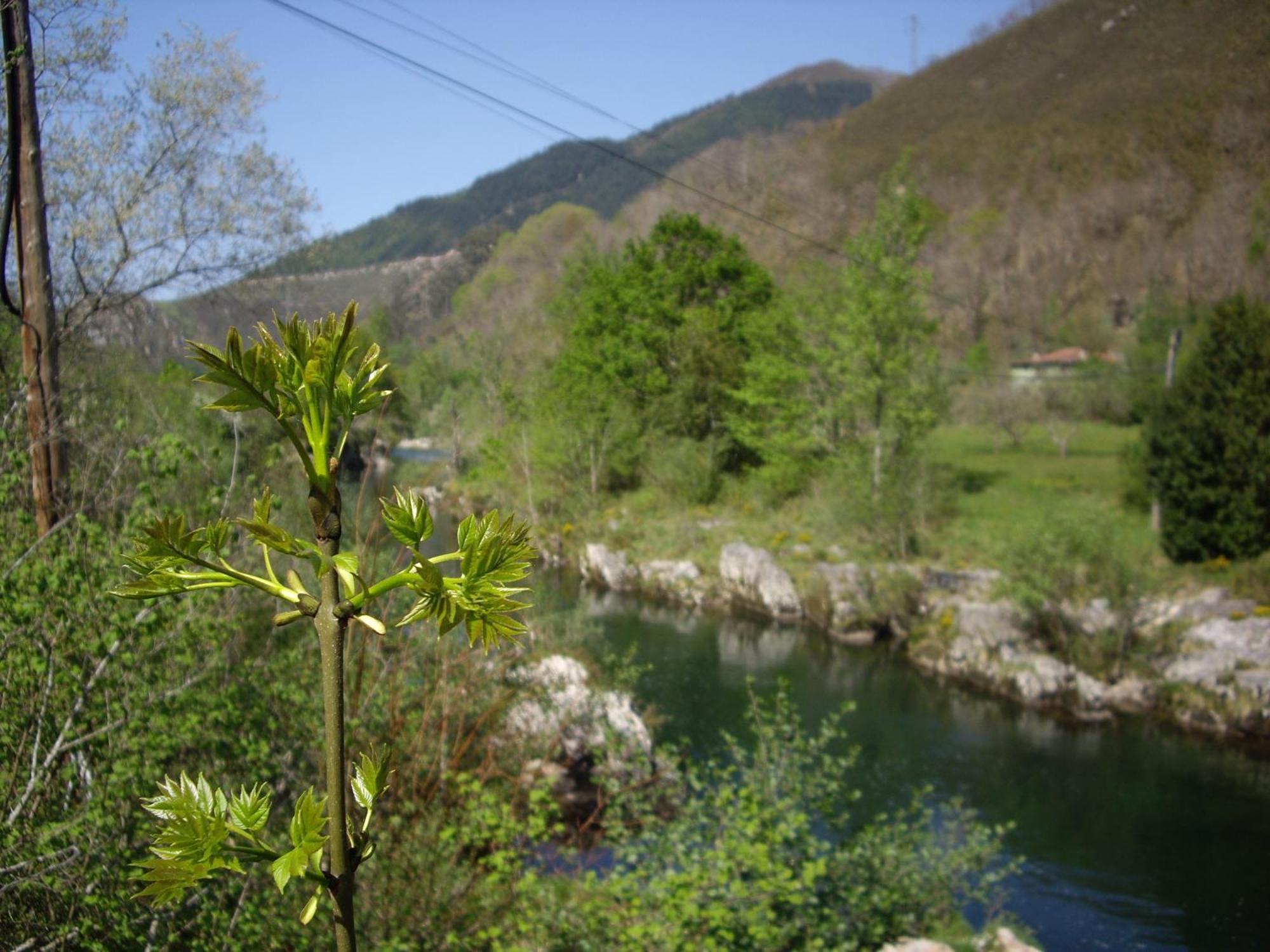 El Cantón Cangas de Onís Exterior foto