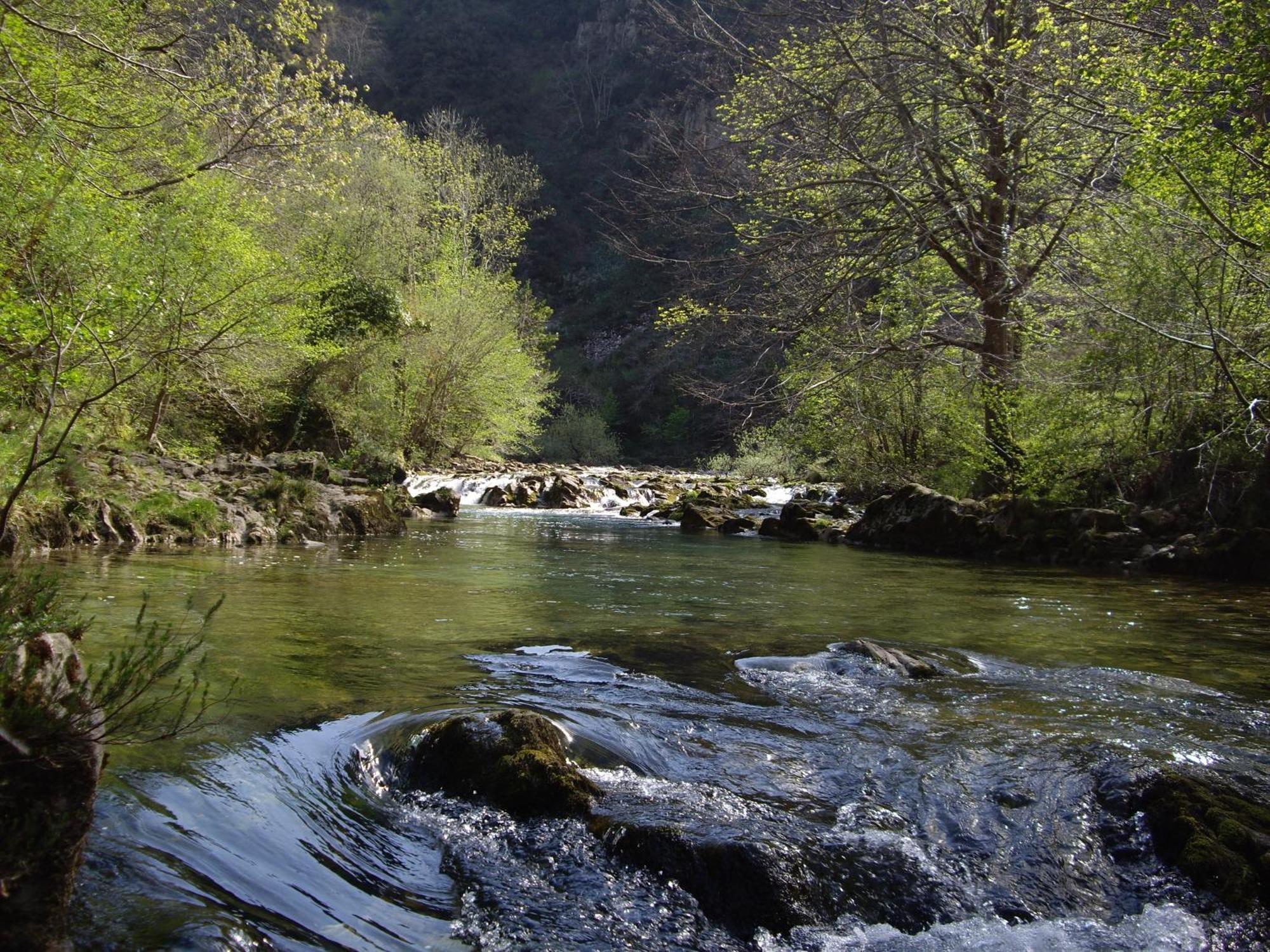 El Cantón Cangas de Onís Exterior foto